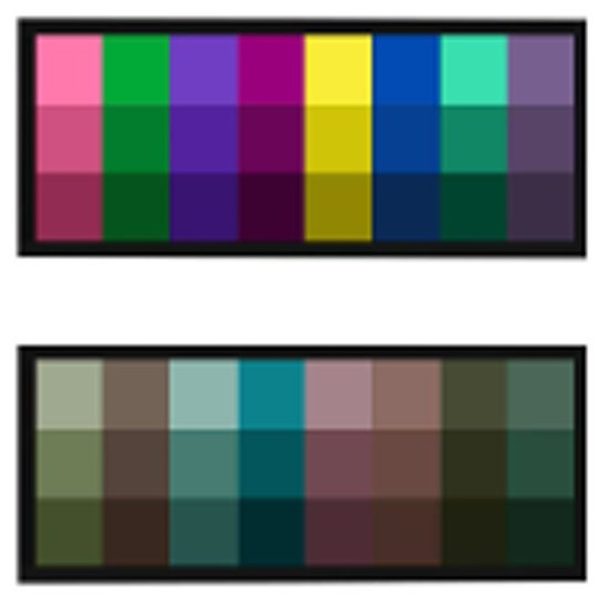 Vibrant Procreate Color Palette Set With Bonus Brushes and Art Palette ...