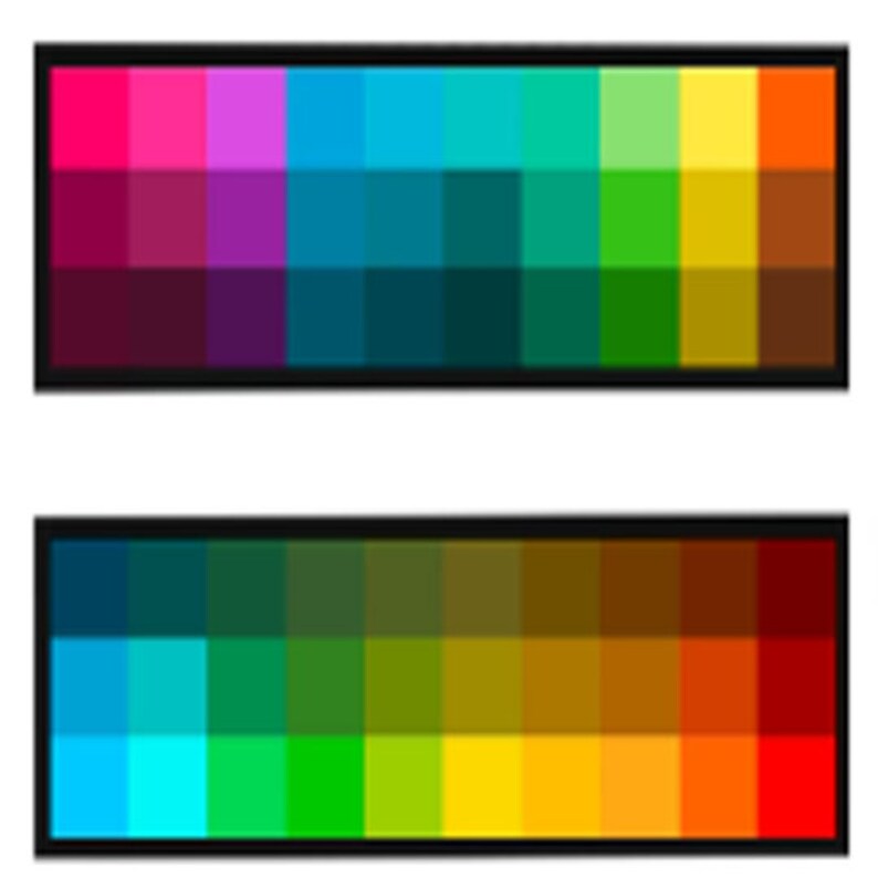Vibrant Procreate Color Palette Set With Bonus Brushes and Art - Etsy