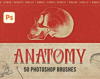 50 anatomy photoshop brushes, photoshop skulls, photoshop tattoo, photoshop bones, photoshop hearts, photoshop tattoo brushes