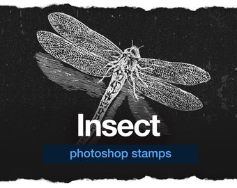 127 Insect Photoshop Stamps: Butterfly, Dragonfly, Beetle