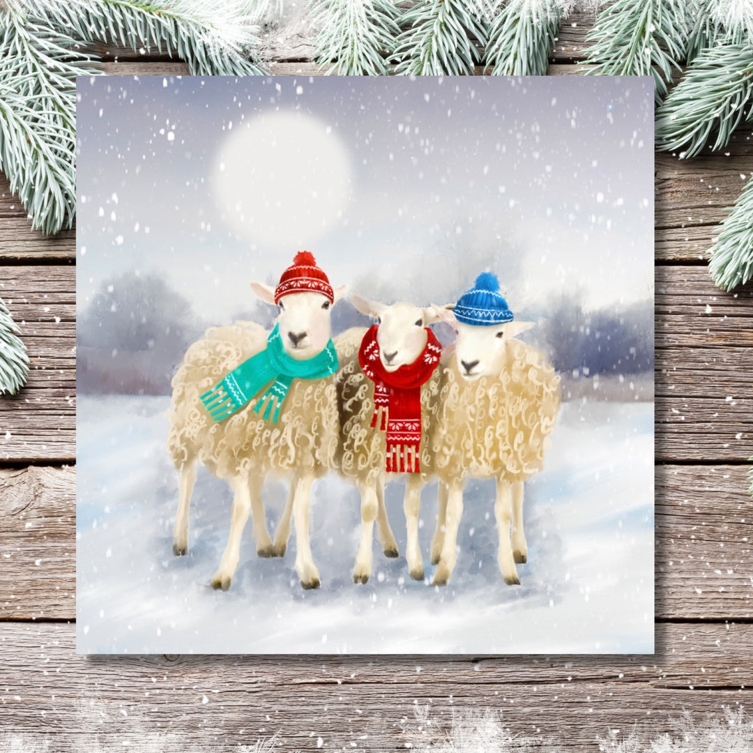Sheep Christmas Cards pack of 10 Vegan Greetings Cards Etsy UK