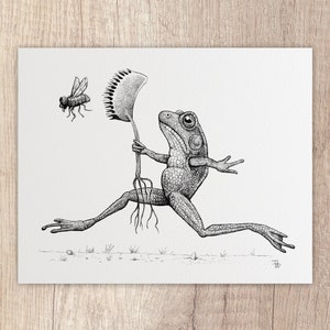 Fly Catcher: 8x10 Art Print
