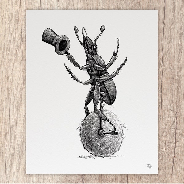 Dapper Dung Beetle: 8x10 Art Print