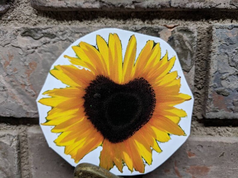 Free Free 279 Realistic Waterslide Sunflower Svg SVG PNG EPS DXF File