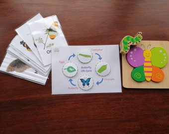 Butterfly flash cards and printable life cycle match.