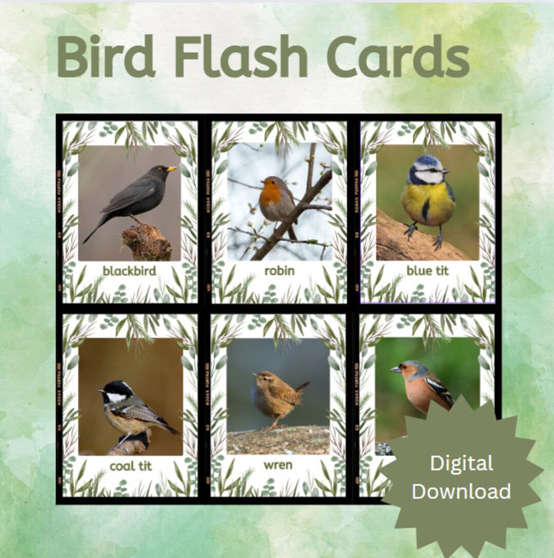 UK Garden Birds Flash Cards - Etsy UK