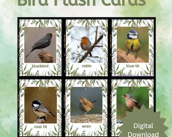 UK garden birds flash cards