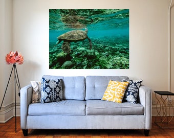 Sea Turtle Poster - Tropical Caribbean Ambience