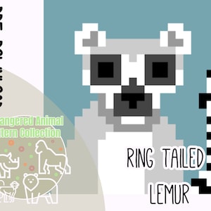 Ring Tailed Lemur - GRAPH and WRITTEN pattern