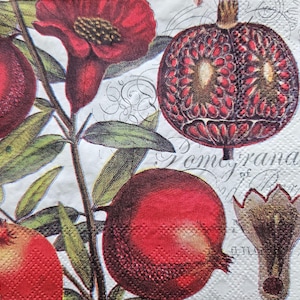 Set di 3 tovaglioli di carta formato cocktail PICCOLI per decoupage / lavori di carta / tovagliolo botanico con frutto di melograno rosso bordeaux SMALL06