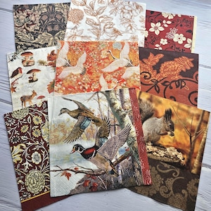Set di 9 tovaglioli di carta misti diversi per decoupage, artigianato artistico / arancioni, floreali, botanici, uccelli, animali MIX912