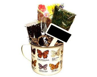 Set de regalo para plantar semillas en forma de taza esmaltada con forma de mariposa