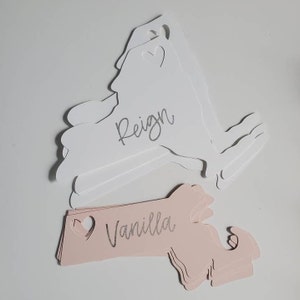 May include: A set of pink and white paper place cards shaped like the state of New York. The cards have a heart cut out and the names "Reign" and "Vanilla" are written in silver glitter.