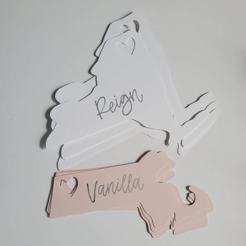 May include: A set of pink and white paper place cards shaped like the state of New York. The cards have a heart cut out and the names "Reign" and "Vanilla" are written in silver glitter.