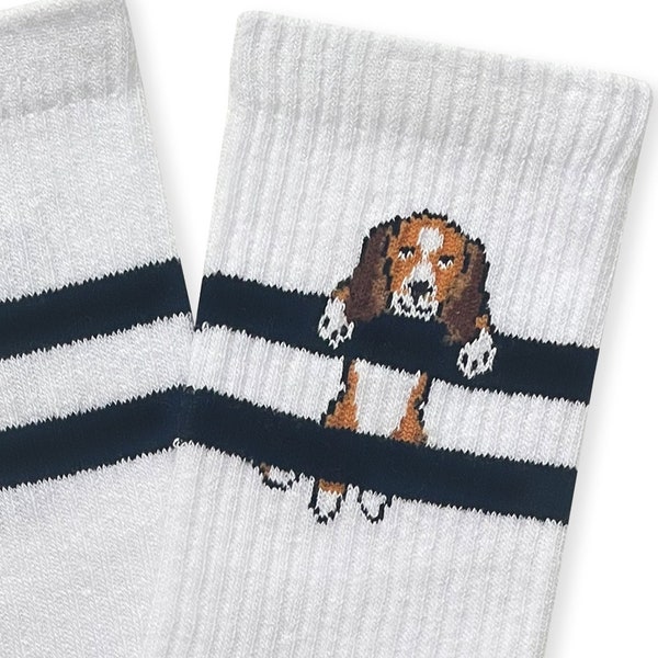 Beagle on Stripe Socks, Beagle Gift, Animal Socks, Trainers Socks, Gift For Dog Lovers, Christmas Gift, Novelty Socks, Stocking Stuffer,