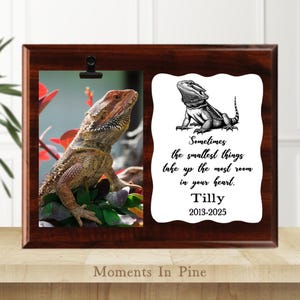 May include: A dark brown wooden picture frame with a photo of a bearded dragon and a white card with text. The text reads "Sometimes the smallest things take up the most room in your heart. Tilly 2013-2025."