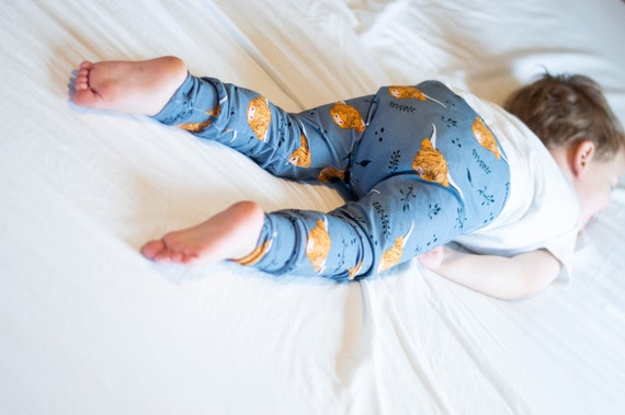 Highland Cow Leggings Cow Leggings 