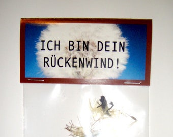 Ich bin dein Rückenweind