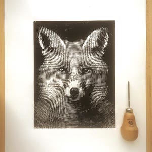 May include: Black and white linocut print of a fox's face, created with concentric circular lines. The fox's eyes and nose are visible. A wood carving tool with a wooden handle and metal blade is next to the print.