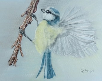 Pastellkreide-Gemälde "Blaumeise im Anflug", Original, als hochwertiger Druck erhältlich, Blaumeisen-Gemälde, Vogel-Gemälde, Vogelkunst