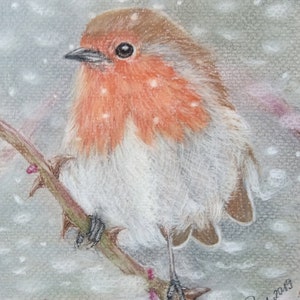 Pastellkreide-Gemälde Rotkehlchen im Winter, Original als hochwertiger Druck erhältlich, Rotkehlchen-Bild, Rotkehlchen, Vogelbild, Pastell Bild 2