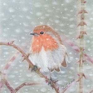 Pastel chalk painting &quot;Robin in Winter&quot;, original available as a high quality print, robin picture, robin, bird picture, pastel