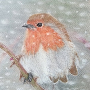 Pastellkreide-Gemälde Rotkehlchen im Winter, Original als hochwertiger Druck erhältlich, Rotkehlchen-Bild, Rotkehlchen, Vogelbild, Pastell Bild 3