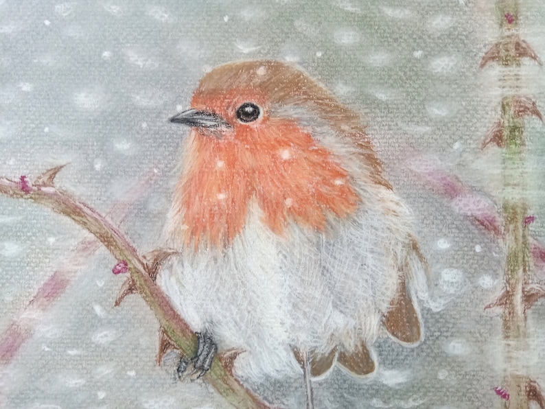 Pastellkreide-Gemälde Rotkehlchen im Winter, Original als hochwertiger Druck erhältlich, Rotkehlchen-Bild, Rotkehlchen, Vogelbild, Pastell Bild 3