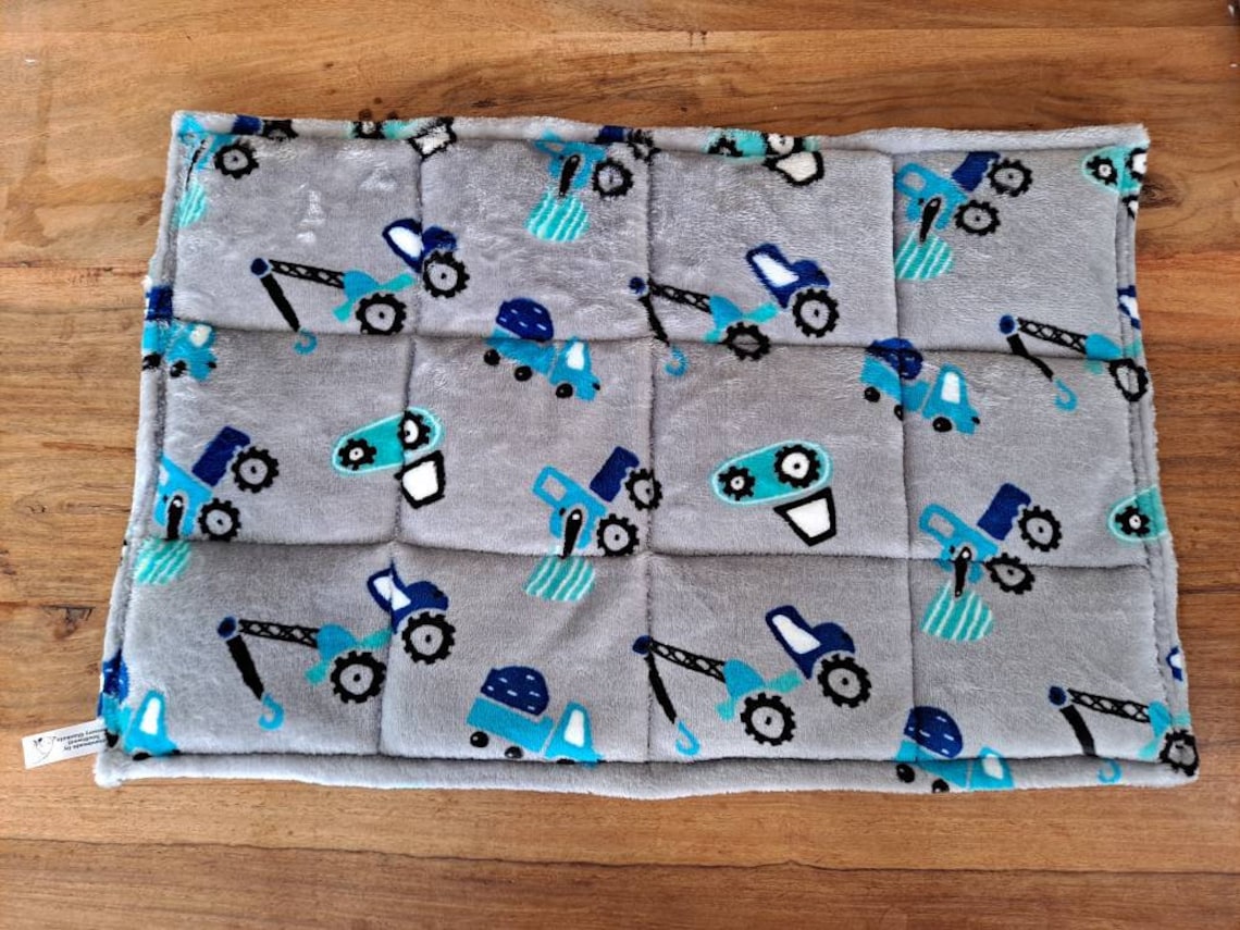 Child's Weighted Lap Pad. Autism Meltdowns Calming Home Etsy