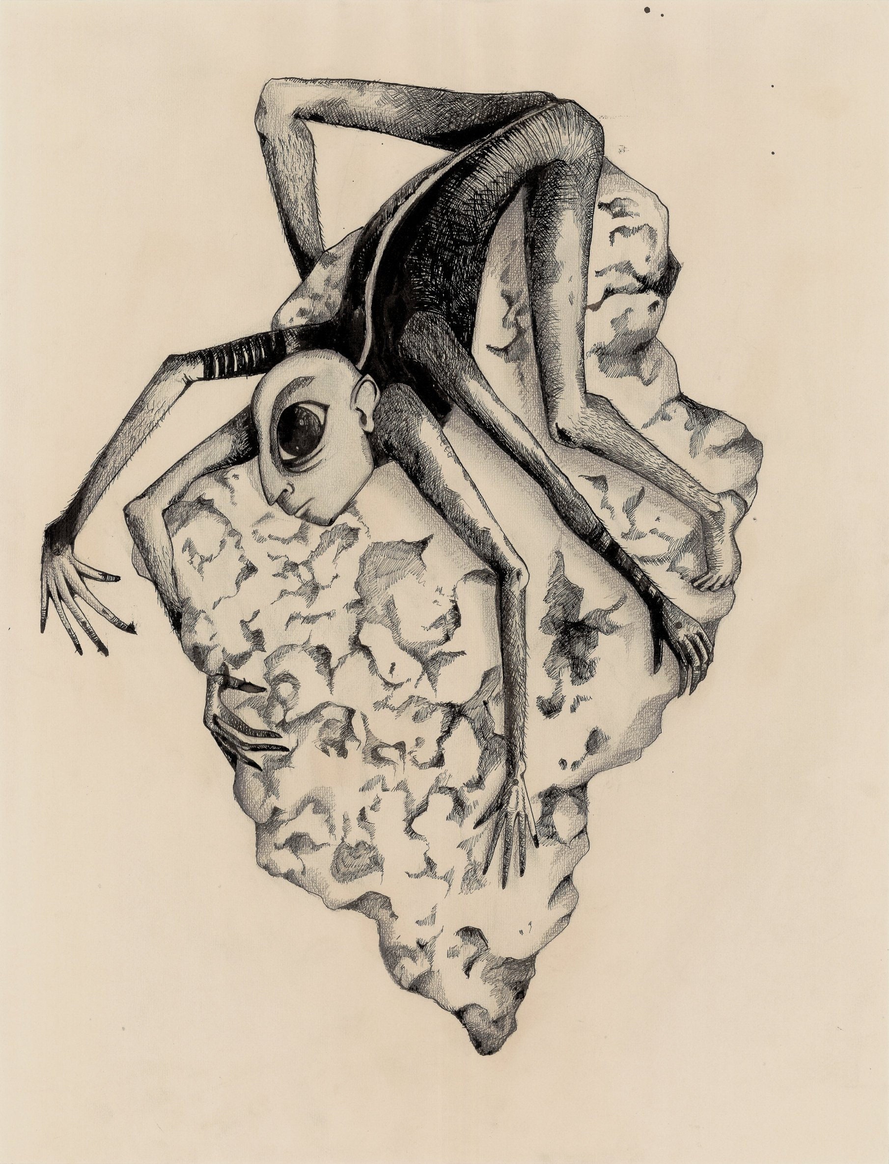 Illustrations Encre de Chine/Affiches Décoration Muralea3 , Imprimé en France Label Imprim'vert/ Hom