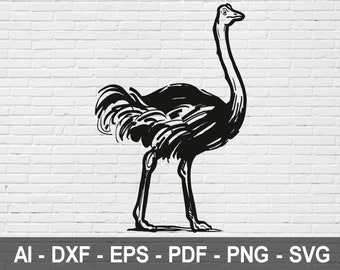 Download Ostrich Silhouette Etsy PSD Mockup Templates