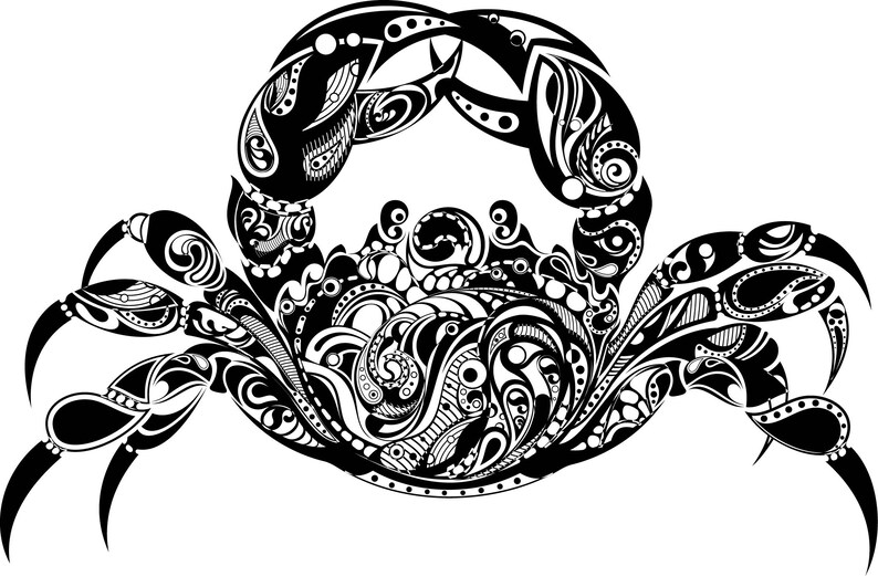Download Horse svg Crab svg Jellyfish svg Frog svg Flower Horse | Etsy