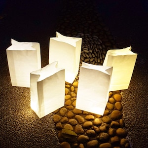 Led luminaria 50pc Light up luminaries warm white luminary candle bags with lights-for wedding aisle, rustic wedding decor