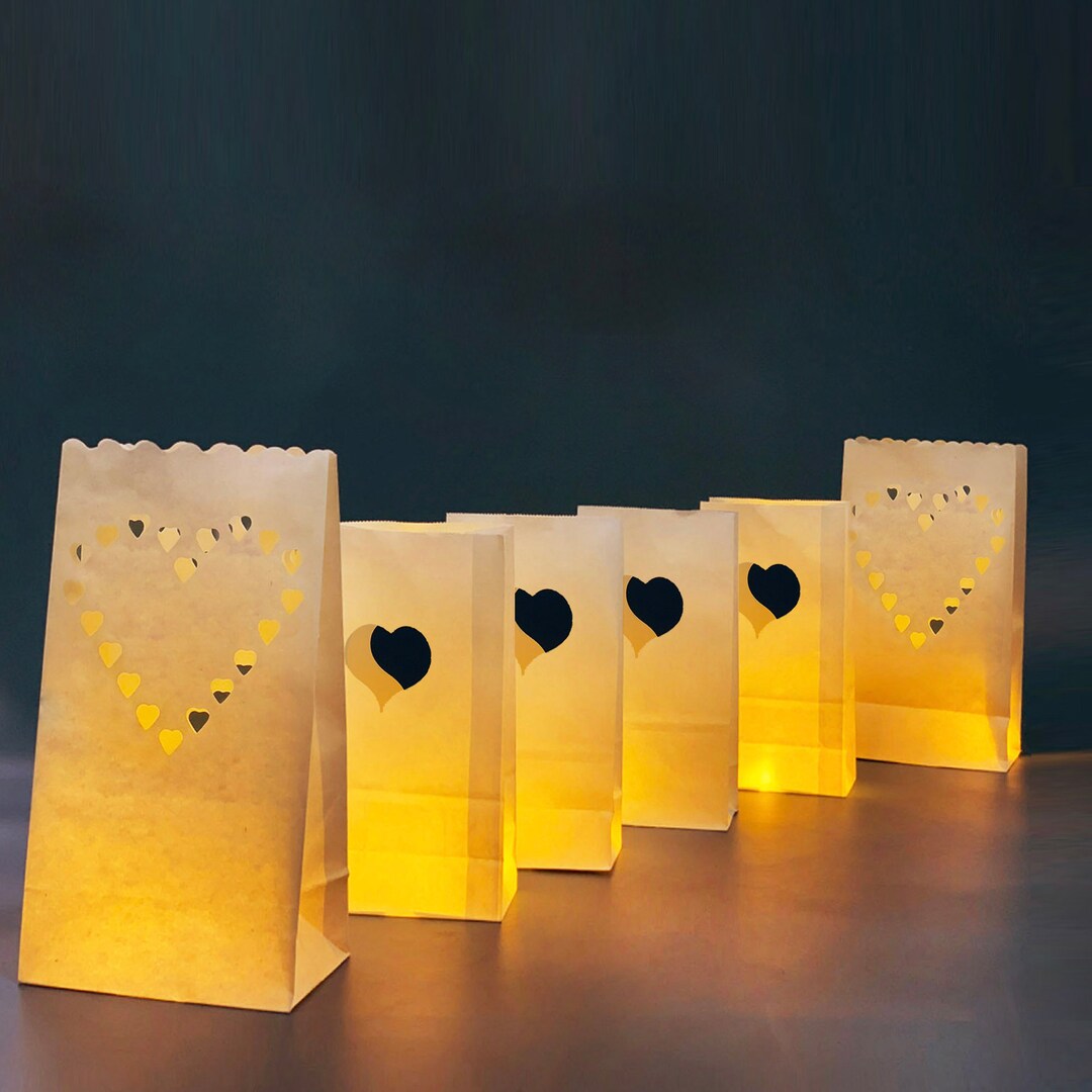 Light up Luminary Bags With LED Lights Included, 50pc of Mixed
