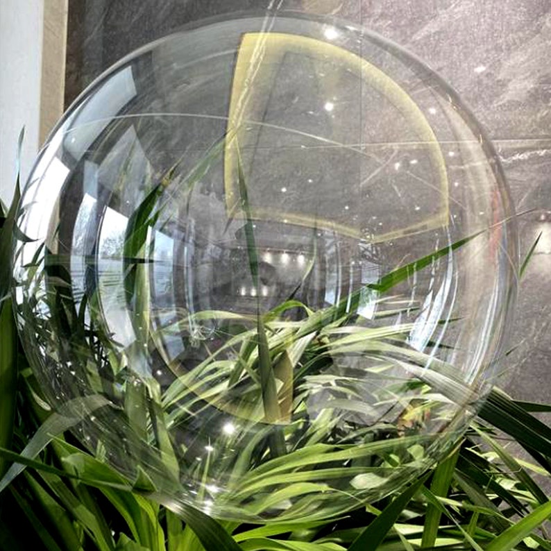 May include: A large, clear, transparent balloon is inflated and placed in a pot of green plants. The balloon is reflecting the surrounding environment.