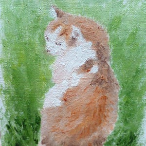Peinture à l'huile originale peinture d'art peinture originale herbe à chat chat rouge soleil d'été