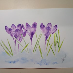 Dipinto originale ad acquerello crochi viola Dipinto d'arte Dipinto originale
