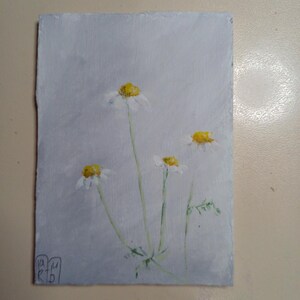 ACEO Original Kunst Malerei Kamille Original Kunstkarten Aceo Acrylmalerei kleine Blumen Gänseblümchen grauen Hintergrund 3.5X2.5