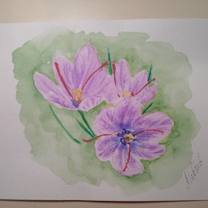 Dipinto originale ad acquerello fiori di zafferano Dipinto d'arte Dipinto originale