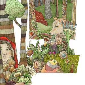 Red Riding Hood Fairytale Illustration. A4 Signed Limited Edition Giclee print. Woodland, wolf, flowers and plants