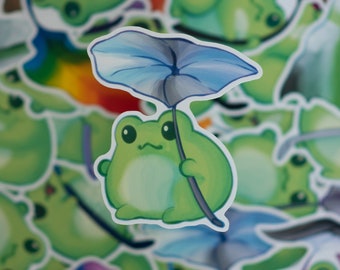 LGBTQ+ Pride Flag Demi Boy Frog Sticker