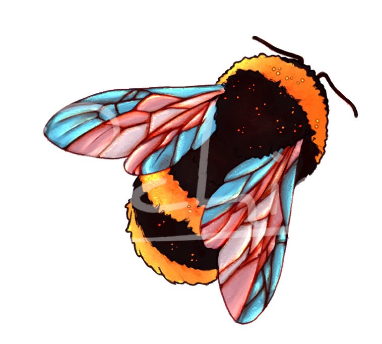 Lgbt Insect LGBTQ Pride Flag Transgender Bee Sticker - Etsy