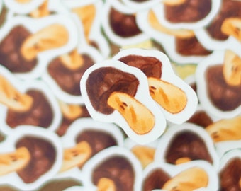Japanese Candy Kawaii Journal Stickers Meiji Chocolate Mushrooms Kinoko No Yama
