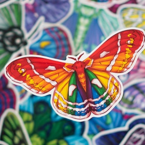 Puede incluir: Una pegatina de mariposa colorida con alas rojas, naranjas, amarillas, verdes, azules y moradas. La mariposa está rodeada de otras pegatinas de mariposas de varios colores y patrones.