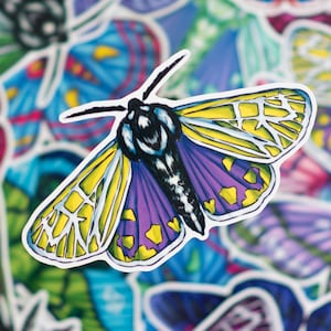 May include: A colorful sticker of a moth with yellow, purple, and white wings. The moth is surrounded by other colorful butterfly stickers.