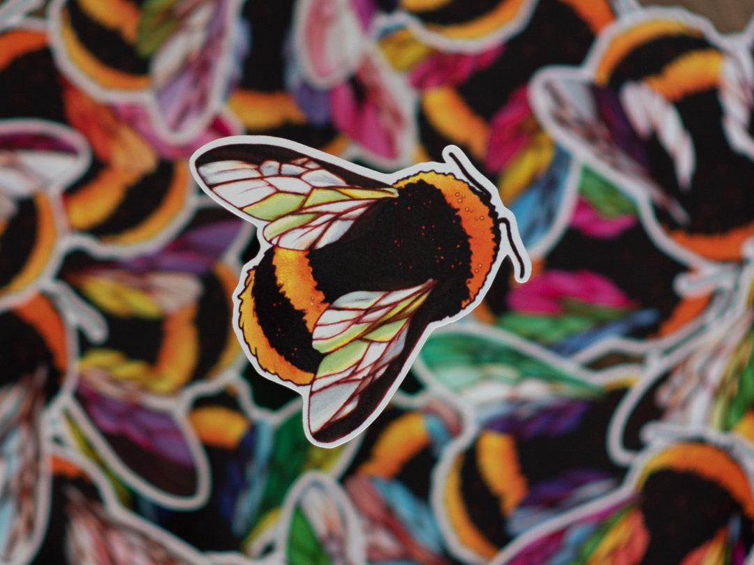 LGBTQ+ Pride Flag Agender Bee Sticker - Etsy