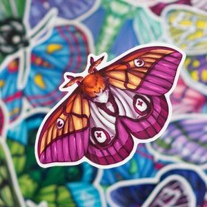LGBTQ+ Lesbian Subtle Pride Flag Moth Sticker