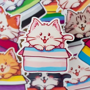 Puede incluir: Una colección de pegatinas de gatos coloridos con diferentes banderas de orgullo. Cada pegatina presenta un gato de dibujos animados en una caja con un diseño de bandera de orgullo diferente. Las banderas incluyen las banderas transgénero, bisexual, pansexual y lesbiana.