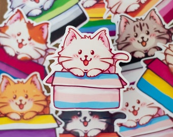 LGBTQ+ Pride Flag Transgender Cat Sticker