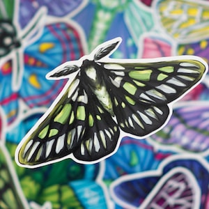 May include: A black and green moth sticker with white markings on its wings. The moth is surrounded by other colorful butterfly stickers.